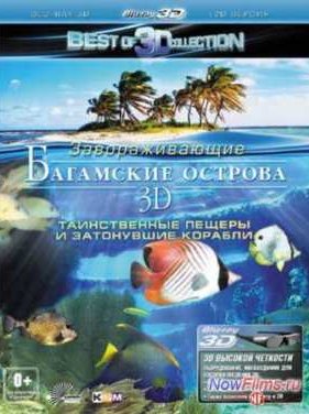 ��������� ������� 3D: ������������ ������ � ���������� ������� (2012)
