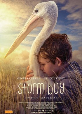 Штормовой мальчик (2019)
