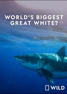 National Geographic. ����� ������� � ���� ����� �����? (2019)