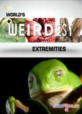 ����� �������� � ����: ��������� ����� ���� (2013)