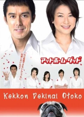 Убеждённый холостяк (2006)