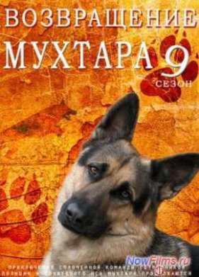 Возвращение Мухтара (2003-2017) 1-11 Сезон (2003)