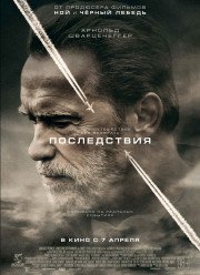 Последствия / 478 (2017)