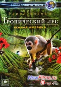 ����� ������� �����. ������������ ����������� ���: ����� ������� (2012)