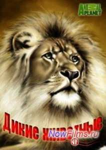 Animal Planet. ����� �������� (2014)