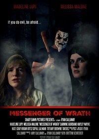 Разгневанный мститель (2017)