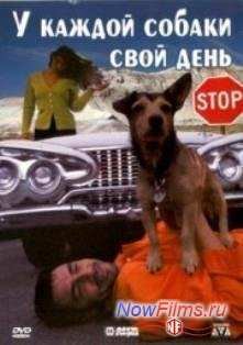 � ������ ������ ���� ���� (1997)