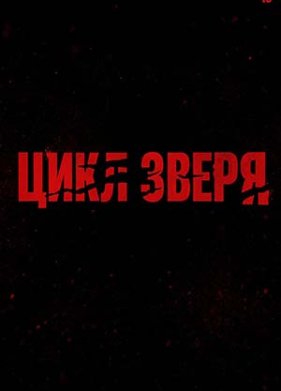 ���� ����� (2026)