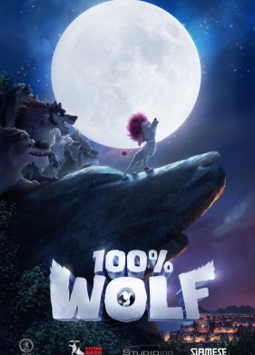 100% ���� (2020)