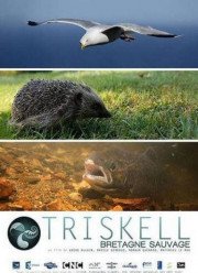 Трискелион. Природа Бретани (2015)