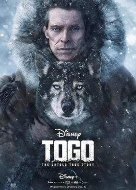 ���� (2019)