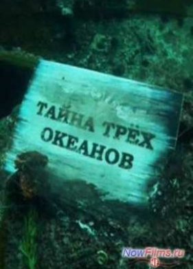 ����� ���� ������� (2014)