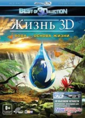 ����� 3D. ���� � ������ ����� (2012)