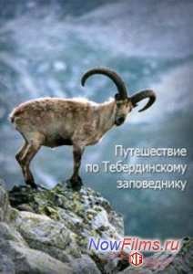 ����������� �� ������������� ����������� (2013)