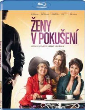 Женщины в соблазне (2010)