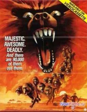 � ���� ������������ (1986)