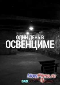 Discovery. Один день в Освенциме (2015)