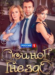 Осиное гнездо / Тайны большого дома (2016)