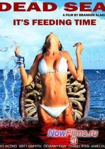 ������� ���� (2014)