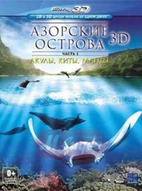 �������� �������� �������. ����� 1: �����, ����, ����� (2012)