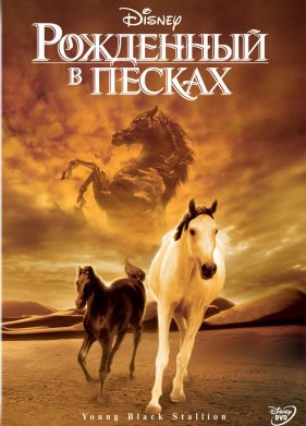 ��������� � ������ (2003)