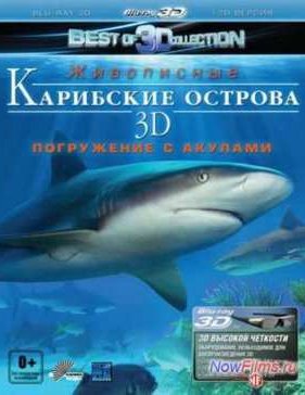 ��������� ������� 3D: ���������� � ������� (2012)