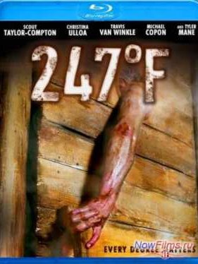 247 �������� �� ���������� (2011)