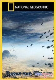 ���������� ������ (2011)