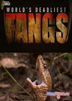 �������� ����� ������� ��������: �������� ��� (2012)