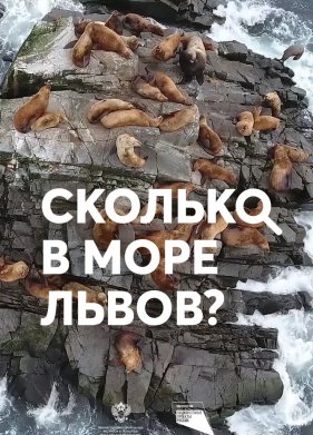 ������� � ���� �����? (2018)