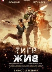 ���� ��� (2018)