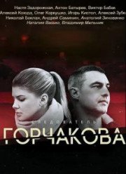 Следователь Горчакова (2019) 1-2 сезон (2019)