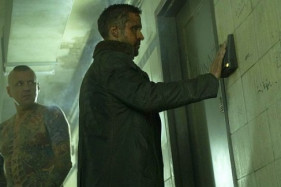 ��-�� ������ ������� Warner � Sony �� �������� ��������� �� ������ 2049� �� �������������