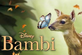 ������ ����������� ������ �� Disney ������ ��������� ���������� �������